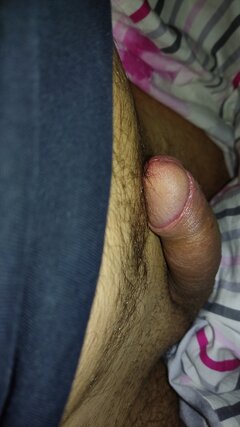 IMG-20250212-WA0007.jpeg