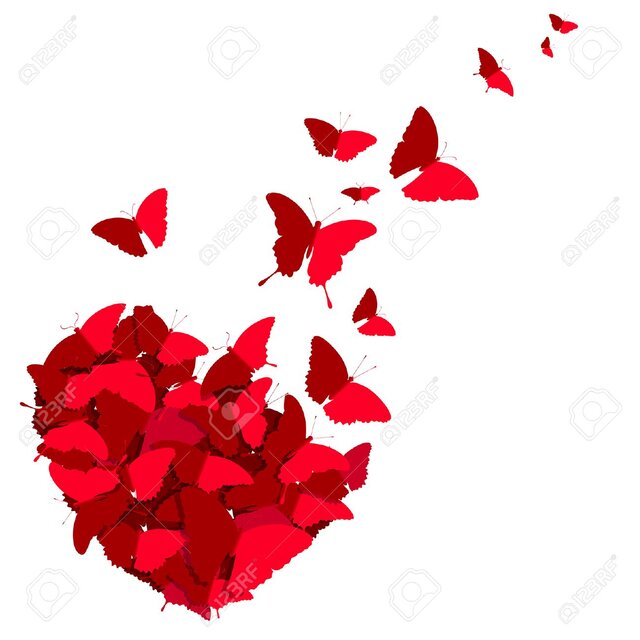 butterflies2