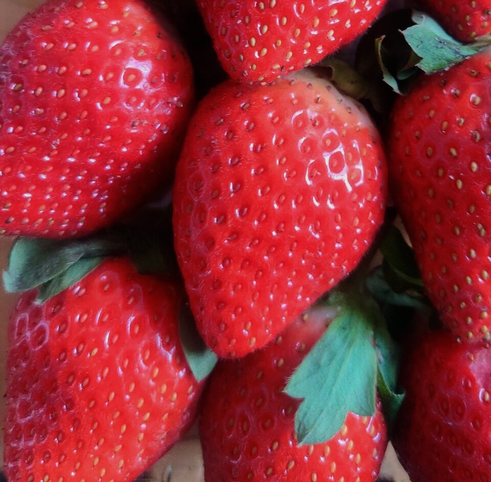 Strawberries.jpg - SweetCheryLady