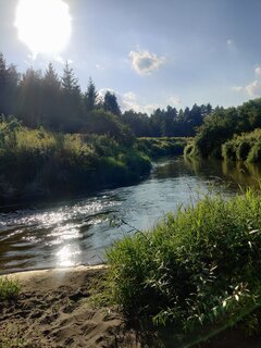 IMG165350.jpg