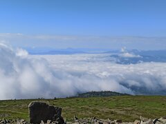 IMG_20240608_083917.jpg