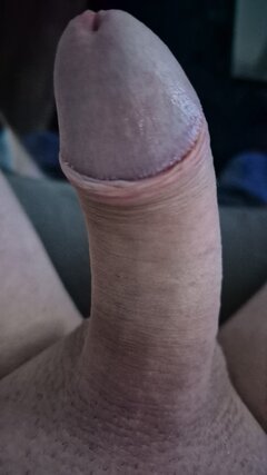 IMG-20250214-WA0040.jpeg