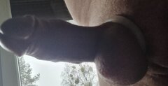 1000005458.jpg