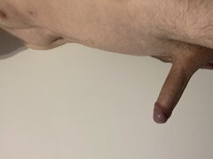 IMG_1589.jpeg