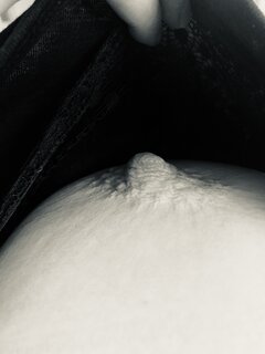 IMG_1767.jpeg