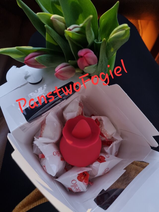 PanstwoFogiel