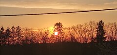 IMG_20200510_224607.jpg
