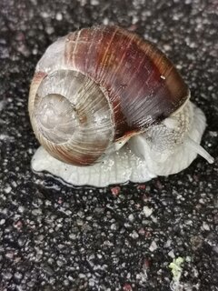 IMG_20200705_211134.jpg