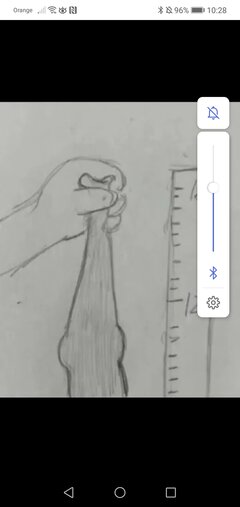Screenshot_20250203_102825_com.android.chrome.jpg