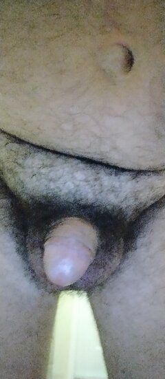 1730617037555.jpg