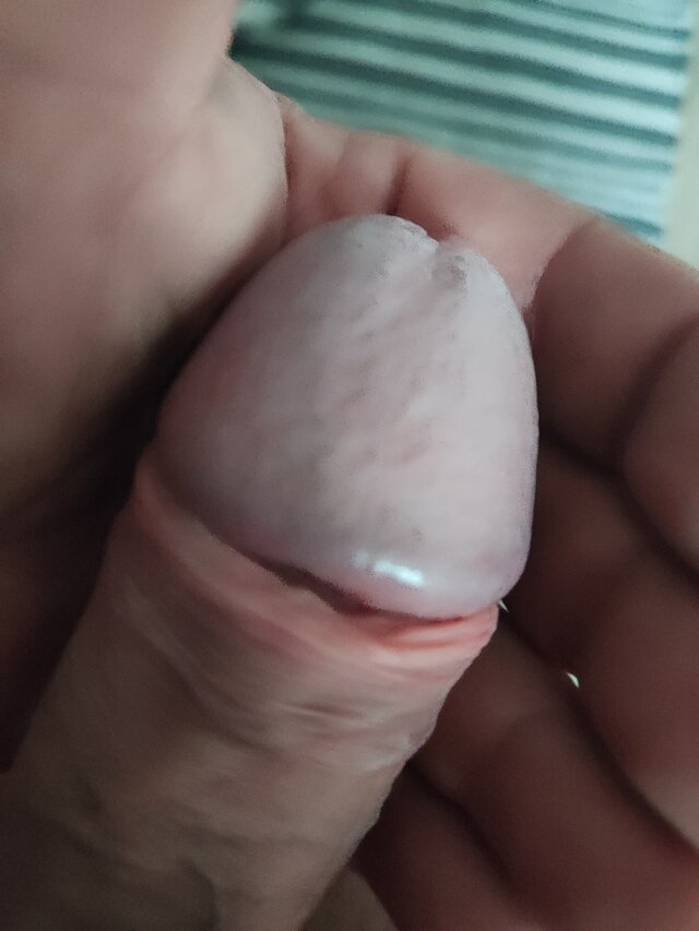 Lenio81