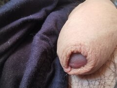IMG_20250220_152526.jpg