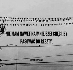 FB_IMG_1707909752121.jpg