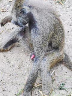 IMG_20200726_124202.jpg