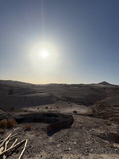 IMG_6903.jpeg