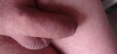 IMG_20250223_073039.jpg
