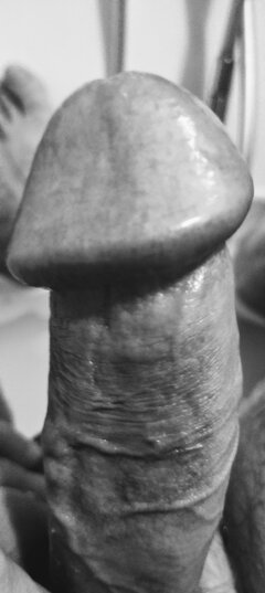 1000031035.jpg