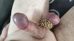 IMG_20250225_122953.jpg