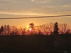 IMG_20200426_200337.jpg