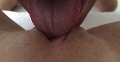 IMG_3544.jpeg