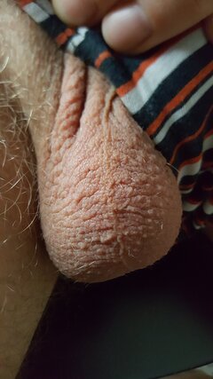 20250301_084234.jpg