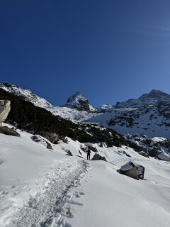 IMG_3778.jpeg