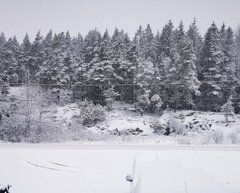 IMG_20210111_213556.jpg