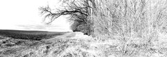 IMG_20200305_110048.jpg