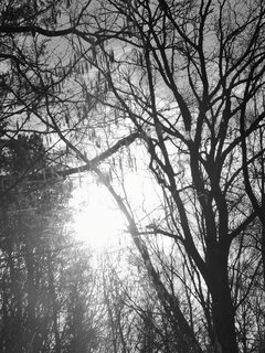 IMG_20200226_141007.jpg