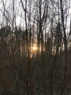 IMG_20210411_185248.jpg