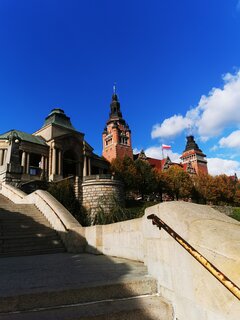IMG_20221006_141424.jpg