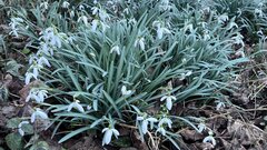 IMG_9818.jpeg