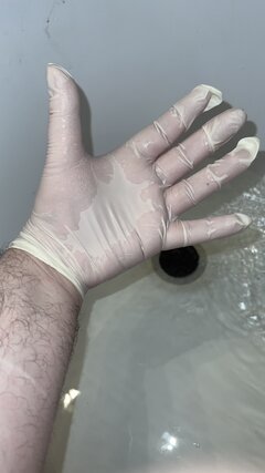 IMG_6656.jpeg