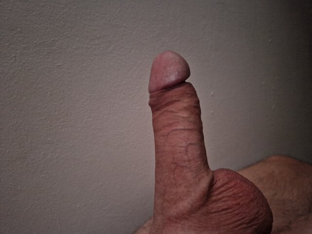 Myrqzem8487