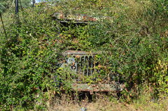 DSC_0963.JPG
