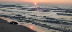 IMG_20250306_173204.jpg
