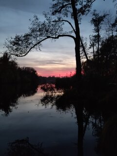 IMG_20211025_175503.jpg