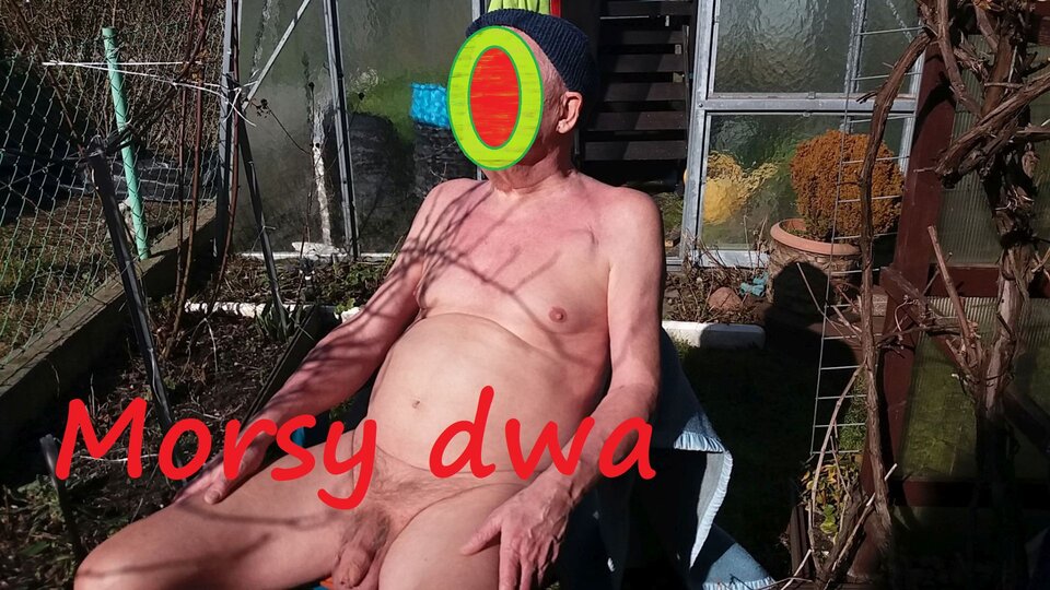 W zimowym słoneczku. - Morsy_dwa