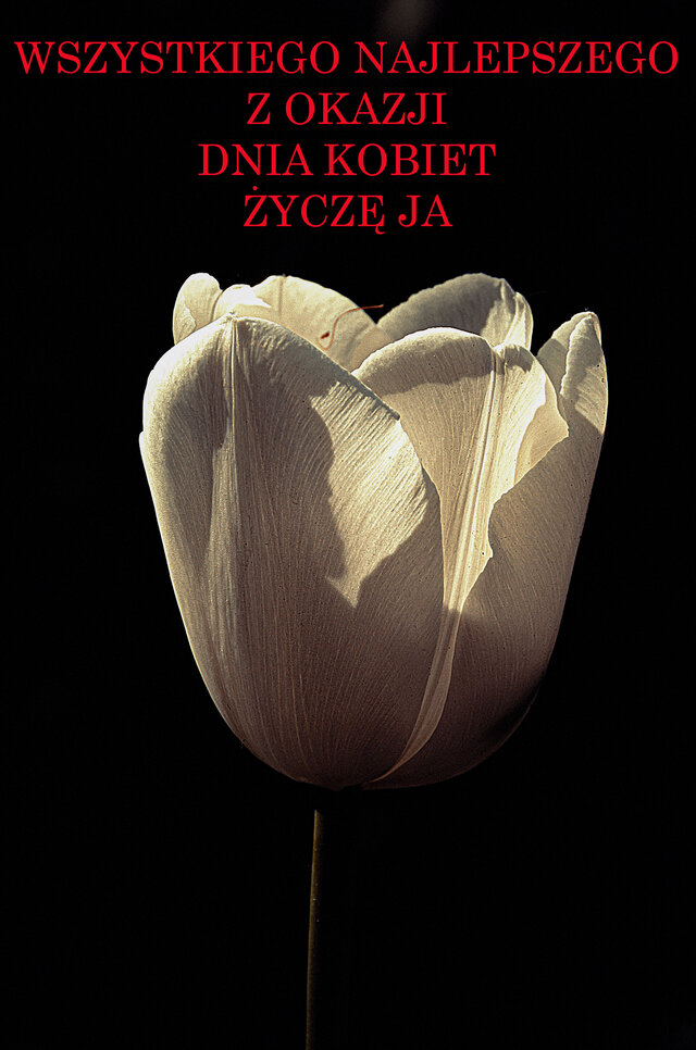mystic