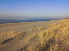 IMG_20250308_160537.jpg