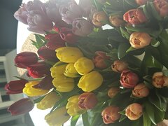 IMG_4062.jpeg