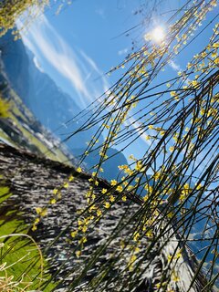 IMG_2338.jpeg