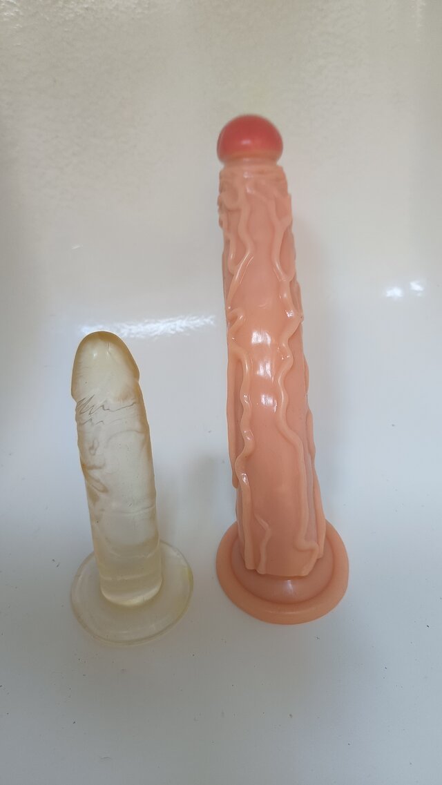 Pannpenisek1
