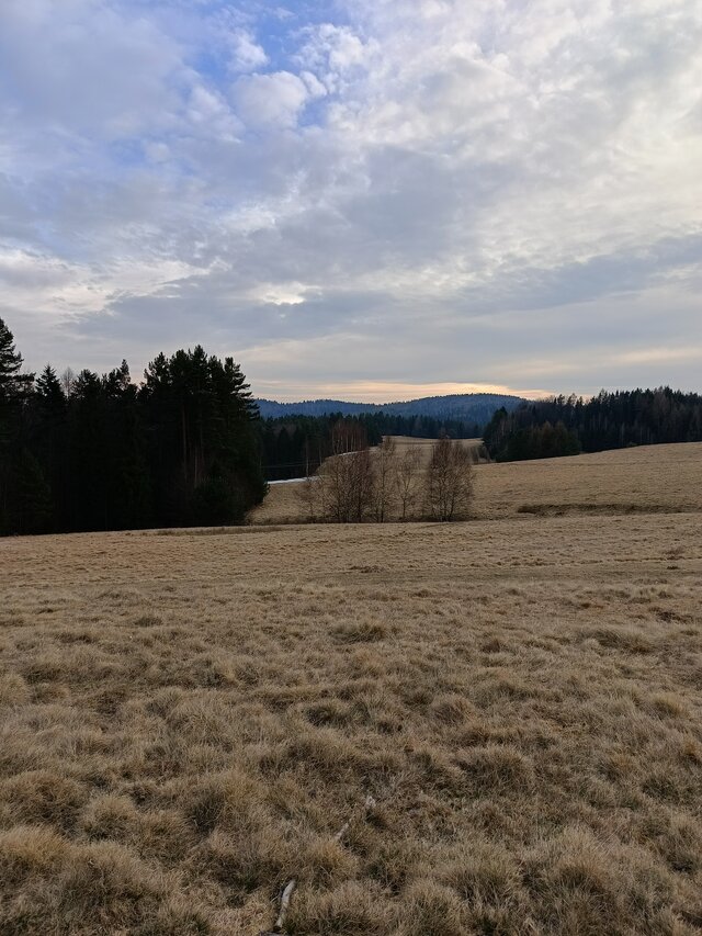 Lukaseg