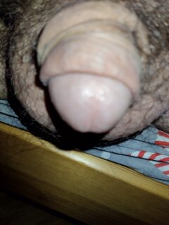 IMG_20250312_045524.jpg