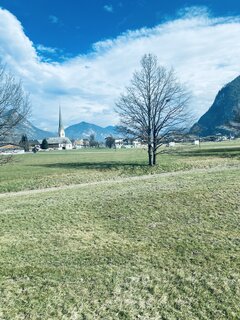 IMG_2586.jpeg