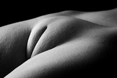 _MG_2719.jpg