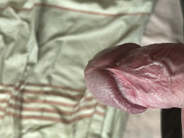PiotrWlkp