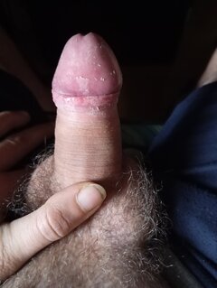 IMG_20250313_121241.jpg