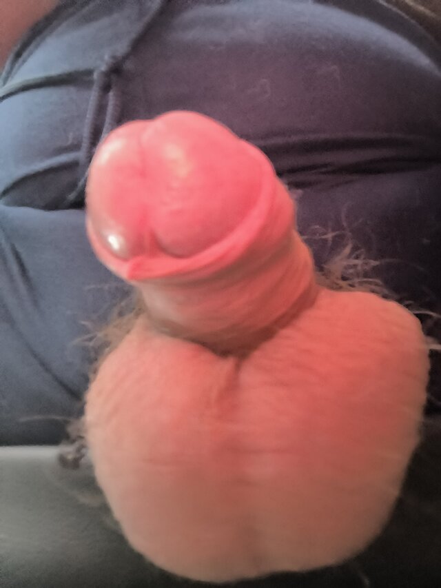 jajaReno